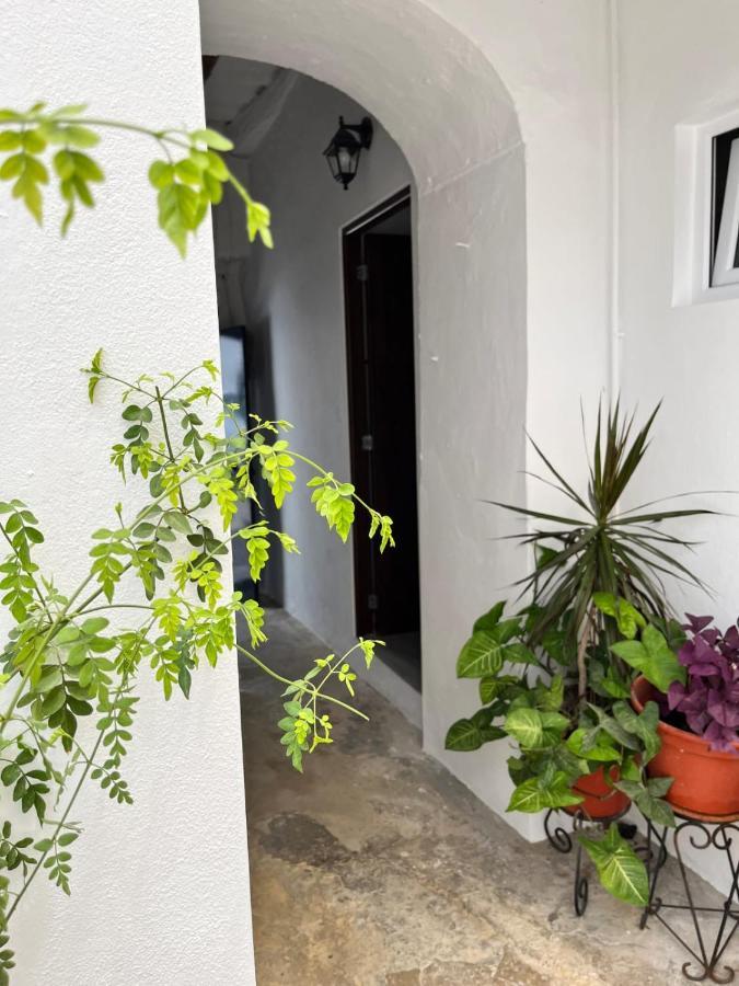 Appartement 29